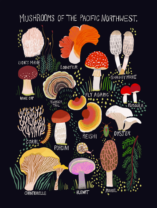 Mushroom Art Print - R