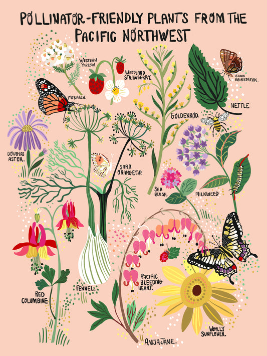 Pollinator-Friendly Plants Art Print - R